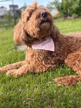 Load image into Gallery viewer, ✨ Mystery Bandanas ✨