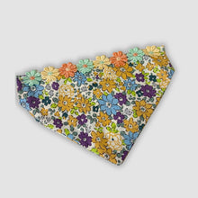 Load image into Gallery viewer, ✨ Mystery Bandanas ✨